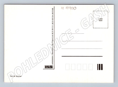 Pohlednice červené růže čistá (M11900)