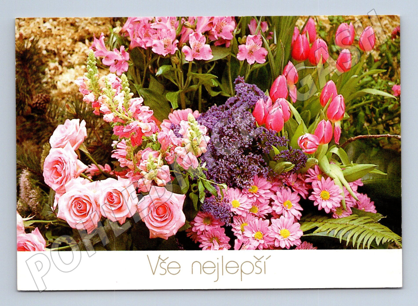 Pohlednice Vše nejlepší – květiny, růže, tulipány (M11907)