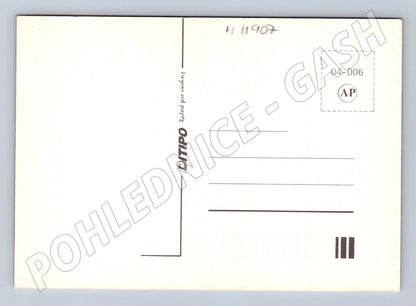 Pohlednice Vše nejlepší – květiny, růže, tulipány (M11907)
