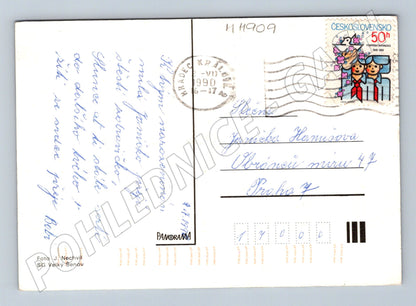 Pohlednice růže Československo 1990 (M11909)