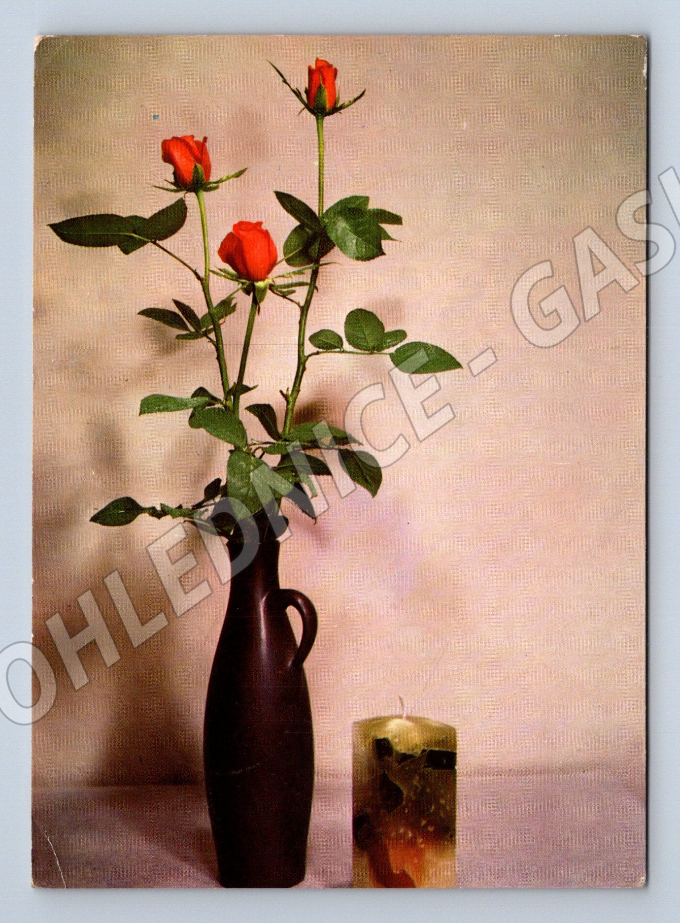 Pohlednice červené růže Československo 1968 (M11917)