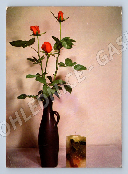 Pohlednice červené růže Československo 1968 (M11917)