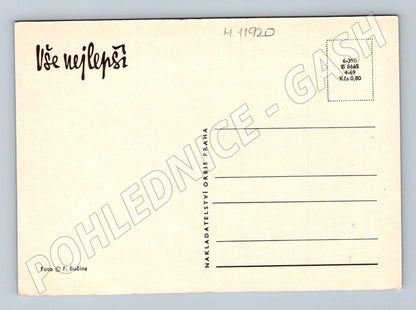Pohlednice Vše nejlepší – slavnostní přípitek (M11920)