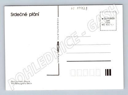 Pohlednice Srdečné přání červené gerbery (M11921)