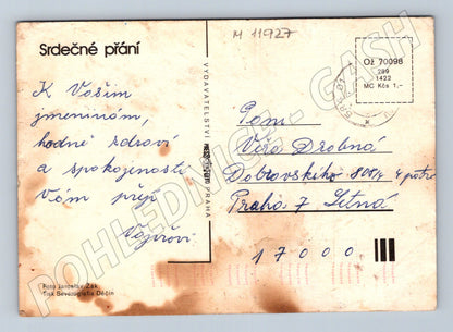 Pohlednice Růže s přáním (M11927)