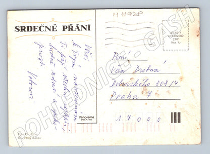 Pohlednice Starý pohled s žlutými květy do Prahy (M11928)