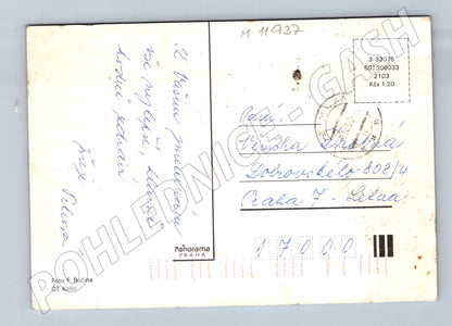Pohlednice Srdečné přání – květiny (M11937)