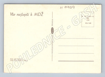 Pohlednice ČR MDŽ Růže (M11939)