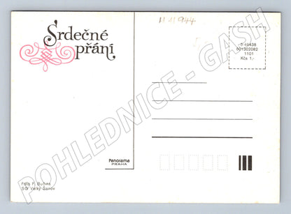 Pohlednice Srdečné přání s květinami (M11944)