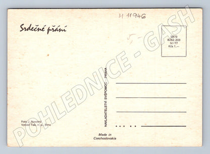 Pohlednice Květiny Československo 1977 (M11946)