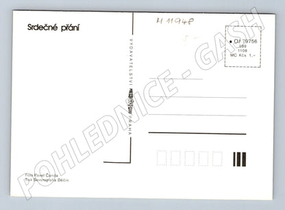 Pohlednice Srdečné přání – kytice květin (M11948)