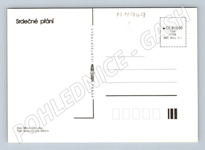 Pohlednice Srdečné přání květiny (M11949)