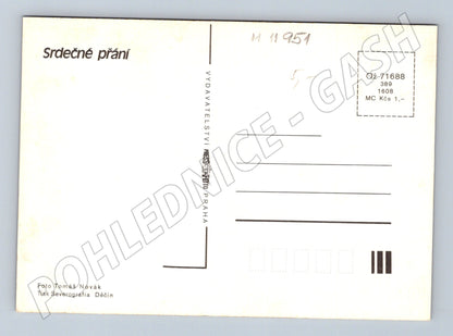 Pohlednice Srdečné přání – květiny ve váze (M11951)