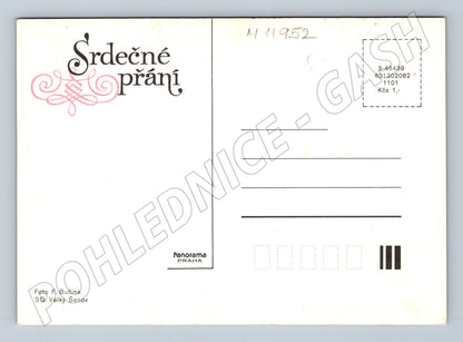 Pohlednice Srdečné přání – slunečnice (M11952)