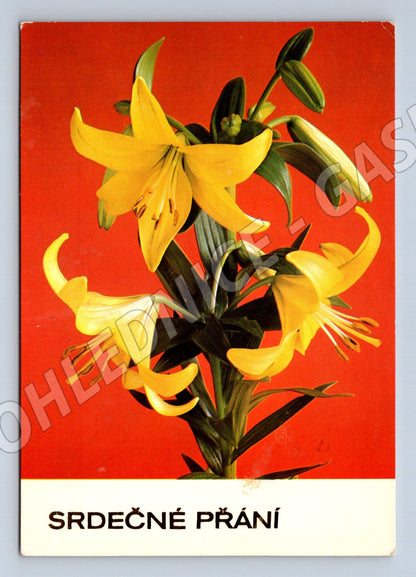 Pohlednice SRDEČNÉ PŘÁNÍ žluté lilie (M11953)