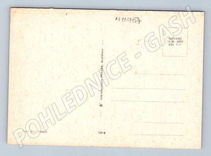 Pohlednice konvalinky v misce (M11954)