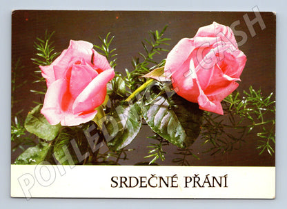 Pohlednice Srdečné přání – růže (M11955)