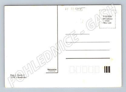 Pohlednice Srdečné přání – růže (M11955)