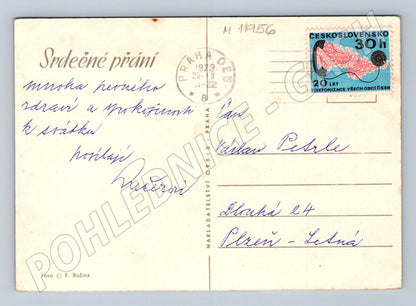 Pohlednice Květiny ve váze (M11956)