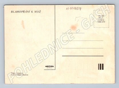 Pohlednice Květiny rododendron retro (M11959)