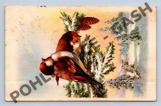 Pohlednice Ptáčci na větvi – zimní motiv 1920s (M1196)