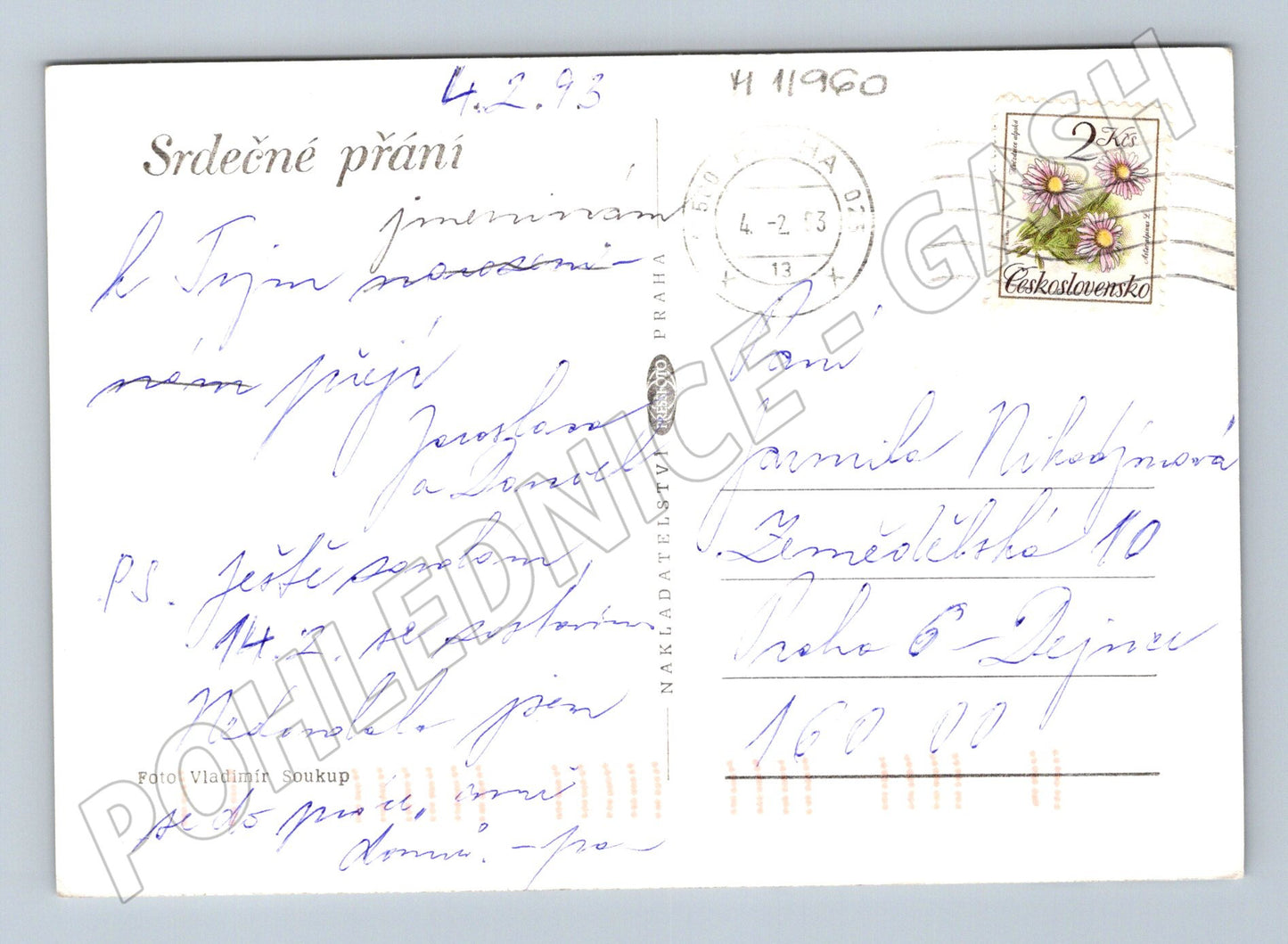 Pohlednice růže ČSR 1993 (M11960)