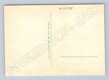 Pohlednice Zátiší s květinami (M11975)