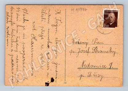 Pohlednice Malované květiny A. Köber (M11977)