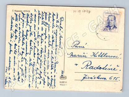 Pohlednice Z. Kopecký – Kytice, zaslaná (M11994)