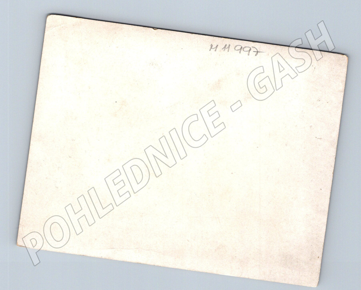 Pohlednice květiny německý text (M11997)