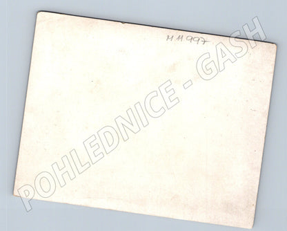 Pohlednice květiny německý text (M11997)