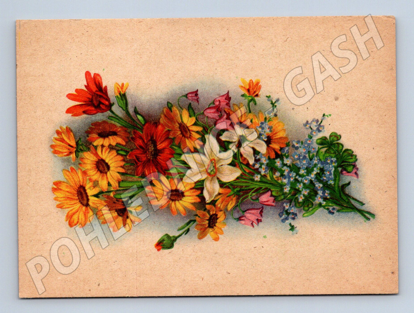 Pohlednice květiny vintage (M11999)