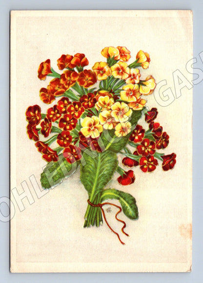 Pohlednice Kytice prvosenek J. Burger (M12024)
