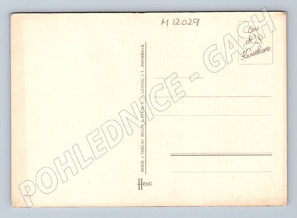 Pohlednice Edelweiss Švýcarsko/Alpy (M12029)