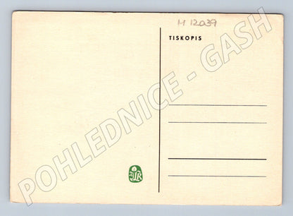 Pohlednice Hloh obecný – botanická ilustrace (M12039)