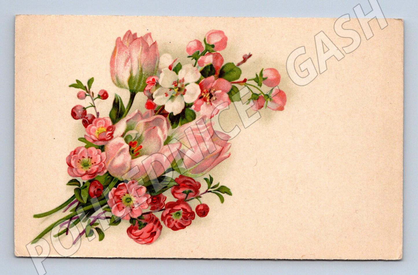 Pohlednice Tulipány a sakura (M12040)