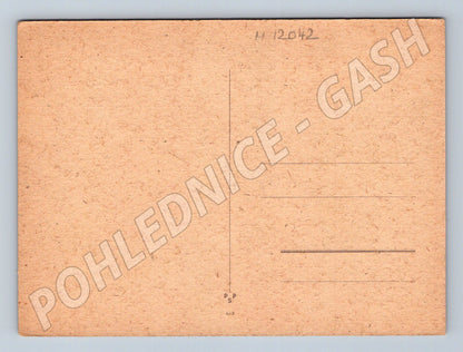 Pohlednice Maky a kopretiny (M12042)