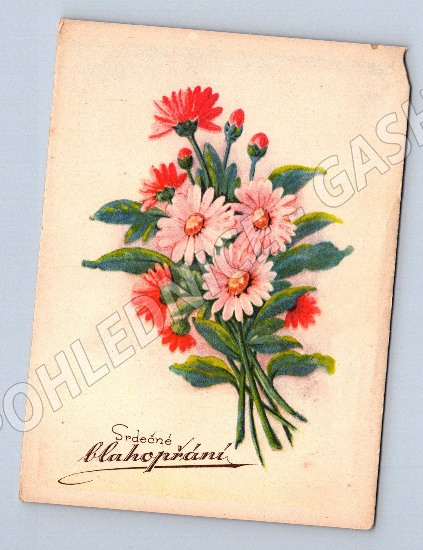 Pohlednice Stará pohlednice s květinami (M12045)