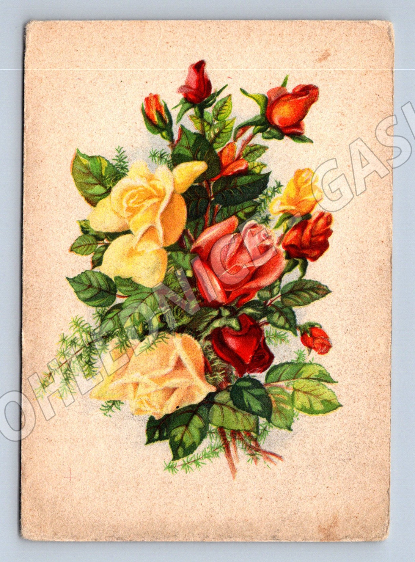 Pohlednice kytice růží, barevná ilustrace (M12050)