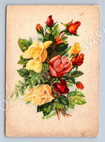 Pohlednice kytice růží, barevná ilustrace (M12050)