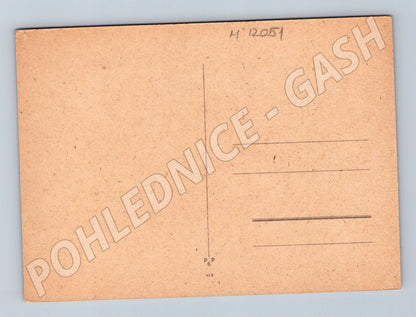 Pohlednice karafiáty vintage neprošlá (M12051)
