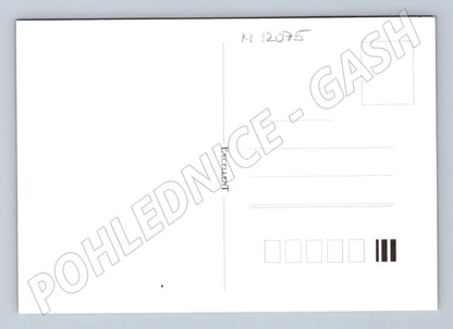 Pohlednice Disney Gummi Bears (M12075)