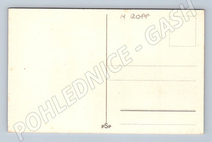 Pohlednice Dítě s kolečkem a kobylkou (M12088)