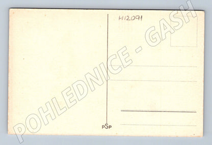 Pohlednice chlapec maluje psa (M12091)