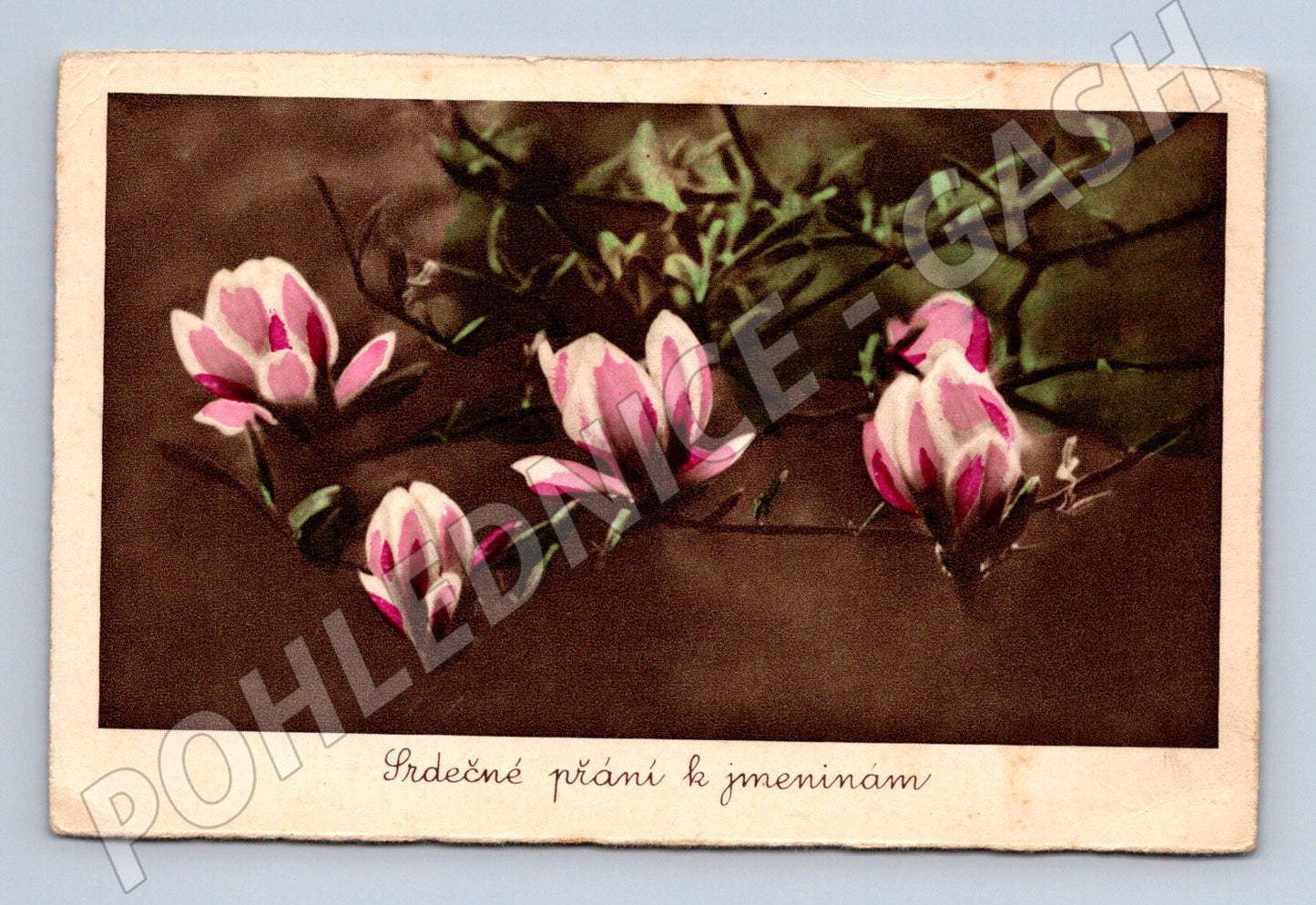 Pohlednice Přání k jmeninám (M12097)
