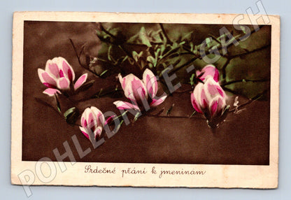 Pohlednice Přání k jmeninám (M12097)