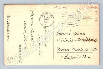 Pohlednice růže ve váze černobílá (M12115)