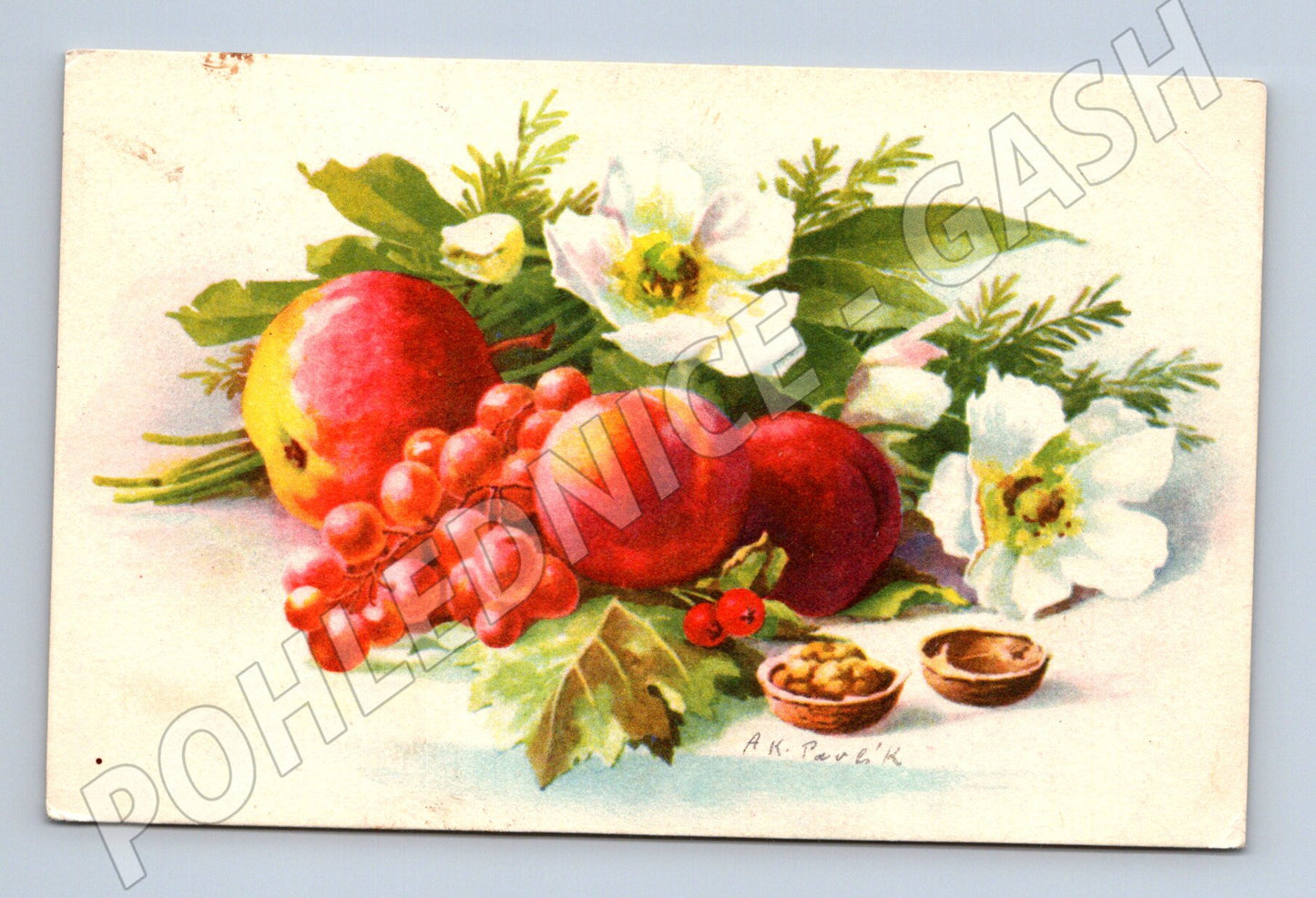 Pohlednice ČSR 1930 – malovaná ovoce (M12161)