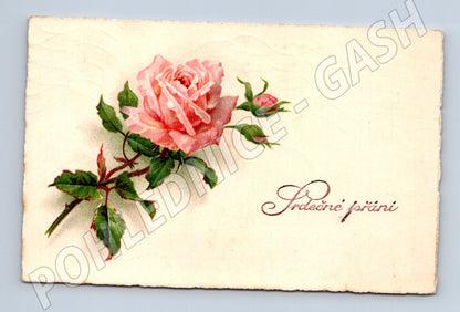 Pohlednice Starobylá ČSR 1930 Růže (M12197)