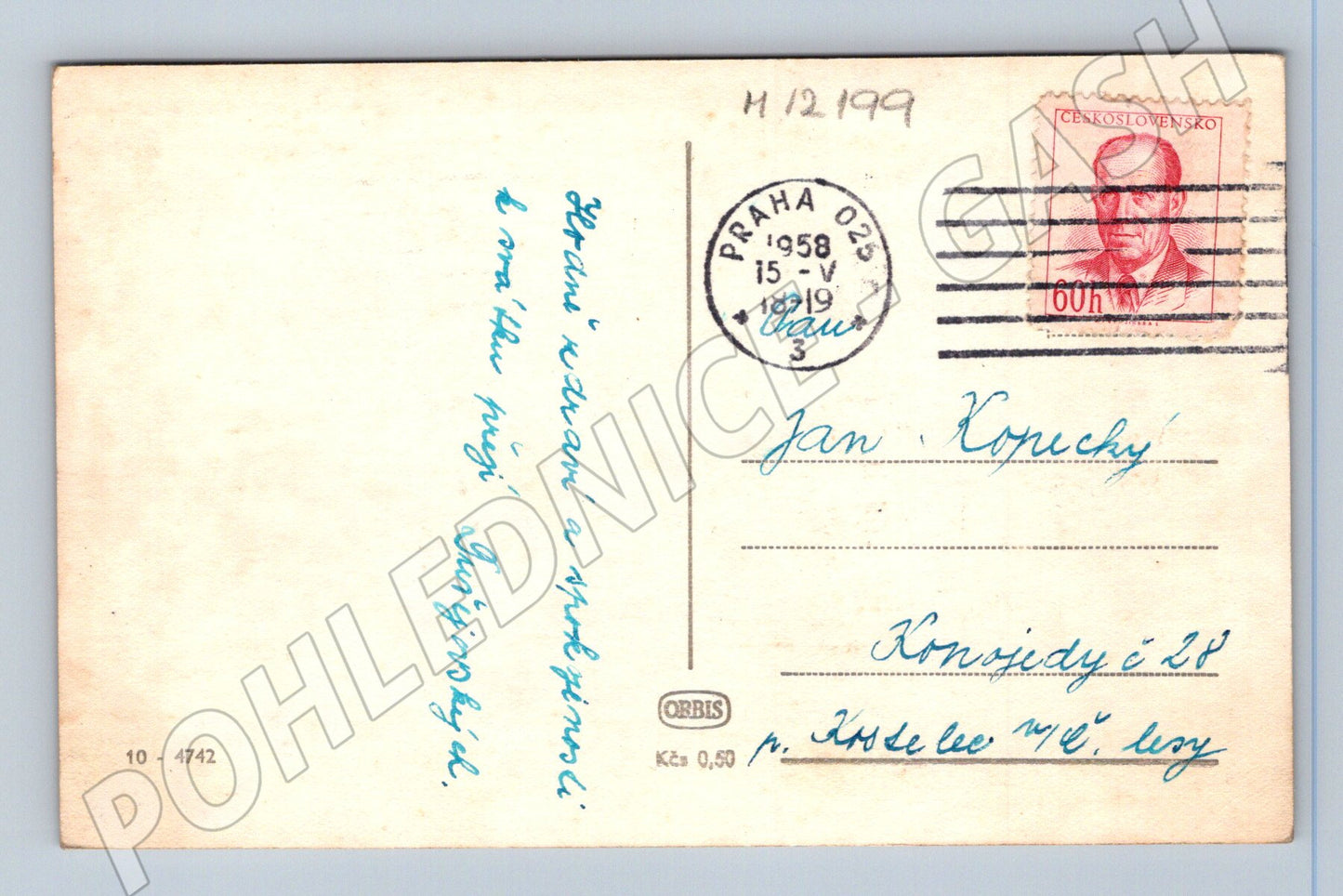 Pohlednice lilie Československo 1958 černobílá (M12199)